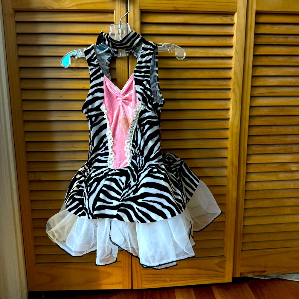 Small child Zebra dance costume—ages 2-3. Approx 18” too to bottom. Lined.
